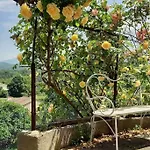 Loft Rural - Terrasse Parking Et Vue بيت للعطل Ferrieres-sur-Ariege