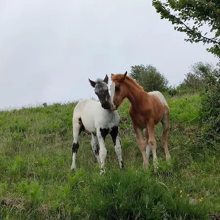 بيت للعطل Loft Rural - Terrasse Parking Et Vue *