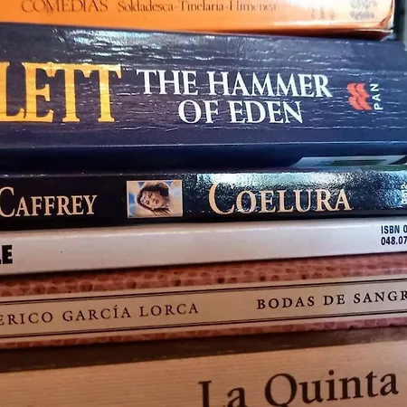 Loft Rural - Terrasse Parking Et Vue Ferrieres-sur-Ariege