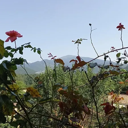 Loft Rural - Terrasse Parking Et Vue Ferrieres-sur-Ariege